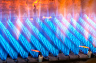 Roybridge gas fired boilers